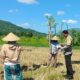 Polsek Gerung Pantau Produktivitas Lahan Pertanian di Babussalam