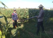 Anggota Bhabinkamtibmas Polsek Jenu Polres Tuban Turun ke Ladang, sambang lahan pertanian.