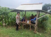 Polsek Tambakboyo Polres Tuban Turun Cek Tanaman jagung Warga di Desa Mander