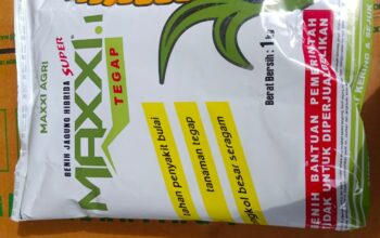 Petani Desa Beleka Terima Bantuan Benih Jagung, Dikawal Ketat Kepolisian
