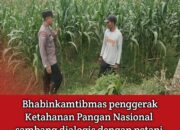 Dukung Astacita, Polsek Jatirogo Polres Tuban Pantau Langsung Lahan Jagung dan dialogis dengan petani Desa Sidomulyo