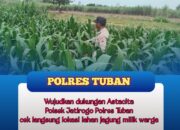 Polsek Jatirogo Turun ke Ladang Jagung Desa Besowo, Wujudkan Dukungan Astacita Swasembada Pangan