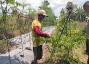 Bhabinkamtibmas Labuapi Ajak Warga Manfaatkan Lahan Pekarangan