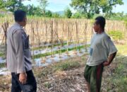 Dukung Ketahanan Pangan, Polsek Labuapi Edukasi Warga Desa