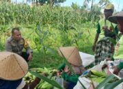 Bhabinkamtibmas Labuapi Gerakkan Warga Manfaatkan Lahan Kosong