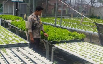 Kemandirian Pangan Warga Bengkel Lombok Barat Dipuji
