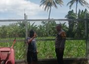 Jaga Ketahanan Pangan, Polsek Labuapi Turun ke Sawah