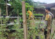 Kunci Sukses Ketahanan Pangan Nasional: Ketika Polisi dan Petani Lombok Barat Bersatu di Sawah