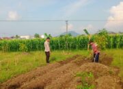 Perkuat Ketahanan Pangan Desa, Bhabinkamtibmas Polsek Labuapi Sambangi Petani Karang Bongkot