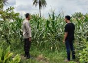 Aksi Bhabinkamtibmas Labuapi Manfaatkan Lahan Pekarangan untuk Pangan Bergizi