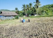 Polisi Turun ke Sawah Lombok Barat, Kawal Ketahanan Pangan Sejak Masa Tanam