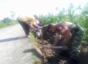 Babinsa dan Petani Lembar Percepat Pembangunan Irigasi