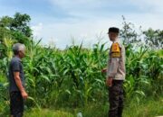 Strategi Humanis Polsek Labuapi Gerakkan Warga Manfaatkan Pekarangan untuk Ketahanan Pangan
