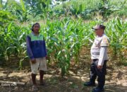 Polsek Gerung Dorong Warga Giri Tembesi Manfaatkan Lahan Pekarangan untuk Pangan