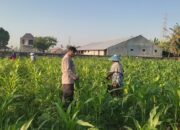 Polsek Labuapi Dorong Ketahanan Pangan Lombok Barat Lewat Optimalisasi Lahan dan Pekarangan