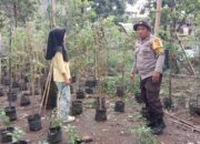 Dukung Swasembada Pangan, Bhabinkamtibmas Turun Langsung Mendampingi Petani di Bagik Polak Barat