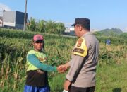 Langkah Proaktif Polsek Labuapi Dorong Kemandirian Pangan dan Kesejahteraan Petani Lokal