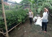 Langkah Nyata Polsek Gerung Dampingi Warga Dasan Geres Wujudkan Kemandirian Pangan Mandiri