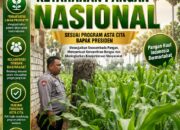 Polsek Plumpang Polresta Tuban Turun Langsung Cek Tanaman Jagung Warga