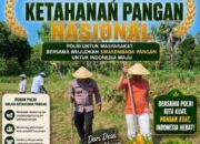 Tingkatkan KetaTingkatkan Ketahanan Pangan Nasional, Anggota Polsek Bancar Tanam Jagung Bersama Warga Desa Ngujuranhanan Pangan Nasional, Anggota Polsek Bancar Tanam Jagung Bersama Warga Desa Ngujuran