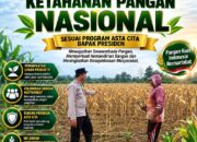 Polsek Plumpang Polresta Tuban Turun Langsung Cek Tanaman Jagung Warga