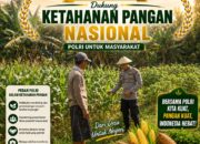 Polisi Polsek jenu Polres Tuban Turun ke Ladang, Dampingi Petani Jagung Dukung Ketahanan Pangan