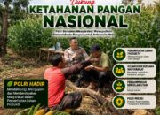 Polsek Tambakboyo Polres Tuban Turun Cek Tanaman jagung Warga di Desa Ngulahan