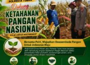 Polisi Polsek jenu Polres Tuban Turun ke Ladang, Dampingi Petani Jagung Dukung Ketahanan Pangan