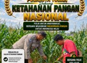 Polsek Soko Polresta Tuban Turun Langsung Cek Tanaman Jagung Warga