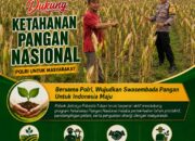 Dukung Asta Cita, Polsek Jatirogo Turun Langsung Pantau Ladang Jagung Warga Desa Wangi