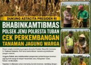 Dukung Astacita Presiden RI, Bhabinkamtibmas Polsek Jenu Polresta Tuban Cek Perkembangan Tanaman Jagung Warga