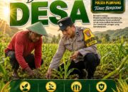 Polsek Plumpang Polresta Tuban Turun Langsung Cek Tanaman Jagung Warga