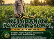 Polsek Plumpang Polresta Tuban Turun Langsung Cek Tanaman Jagung Warga