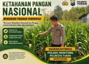 Polsek Montong Polresta Tuban Turun Cek Tanaman jagung Warga di Desa Bringin