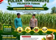 Polsek Tambakboyo Polres Tuban Turun Cek Tanaman jagung Warga di Desa Ngulahan