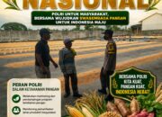 POLSEK KEREK SAMBANG GUDANG PENAMPUNGAN JAGUNG, DUKUNG KETAHAN PANGAN NASIONAL