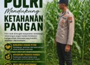 Polsek Singgahan Polresta Tuban Turun Cek Tanaman jagung Warga di Desa Tingkis