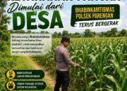 DALAM RANGKA POLRI DUKUNGAN PROGRAM ASTACITA, BHABINKAMTIBMAS DESA PACING POLSEK PARENGAN POLRESTA TUBAN SAMBANGI LOKASI TANAMAN JAGUNG DI DESA PACING KEC. PARENGAN