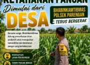 Dukung Program ASTACITA, Bhabinkamtibmas Desa Suciharjo Polsek Parengan Polresta Tuban sambangi lokasi tanaman Jagung Di Desa Suciharjo Kec. Parengan