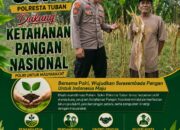Polsek Soko Polresta Tuban Turun Langsung Cek Tanaman Jagung Warga