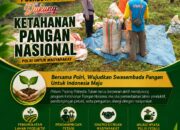 Polmas Desa Sumurgung laksanakan giat pendampingan petani kacang di Desa Sumurgung Kec. Palang Kab. Tuban. Polres Tuban Berkomitmen Untuk Mendukung Swasembada Pangan