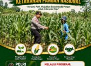 “Anggota Polsek Kerek Polresta Tuban Dukung Ketahanan Pangan Nasional.