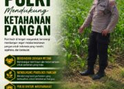 Polri Dukung Astacita, Polsek Merakurak Polres Tuban Turun Cek Tanaman Jagung Warga di Desa Tuwiri Wetan