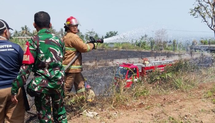 Sinergi Lintas Sektor Padamkan Api yang Melahap Bukit Korea