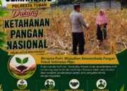 Polri Dukung Astacita, Polsek Semanding Polresta Tuban Turun Cek Tanaman jagung milik Warga di Desa Jadi
