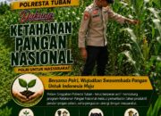 Polsek Singgahan Polresta Tuban Turun Cek Tanaman jagung Warga di Desa Tingkis