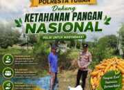 Dukung Ketahanan Pangan, Bripda Gustian Polsek Bancar Sambangi Petani dan Monitor Panen Jagung di Desa Pugoh