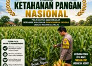 DUKUNG PROGRAM ASTACITA, BHABINKAMTIBMAS DESA NGAWUN POLSEK PARENGAN POLRESTA TUBAN SAMBANGI LOKASI TANAMAN JAGUNG DI DESA NGAWUN KEC. PARENGAN