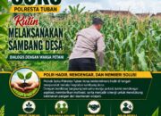 Polsek Soko Polresta Tuban Turun Langsung Cek Tanaman Jagung Warga