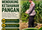 Polri Dukung Astacita, Polsek Merakurak Polres Tuban Turun Cek Tanaman Jagung Warga di Desa Tuwiri Wetan